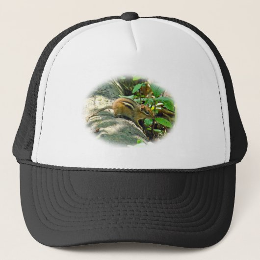Casquette Chipmunk oriental sur Stump (Devant)