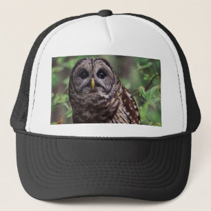 Casquette Chouette barrée