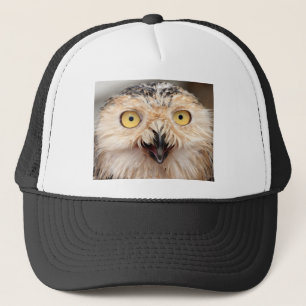 Casquette Chouette des neiges