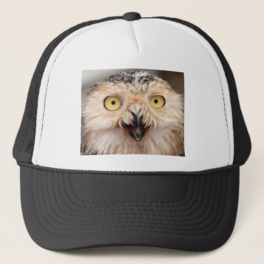 Casquette Chouette des neiges (Devant)
