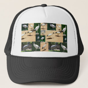 Casquette Chroniques Du Poulet De Bin : Collage Photo De L'I
