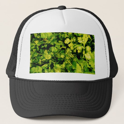 Casquette Cilantro / Coriander Feuilles (Devant)
