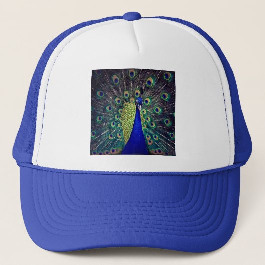 Casquette Cobalt Blue Peacock (Devant)