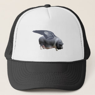 Casquette cochon volant