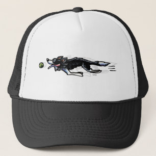 Casquette Collie frontalier en action