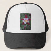 Casquette Columbine (Devant)