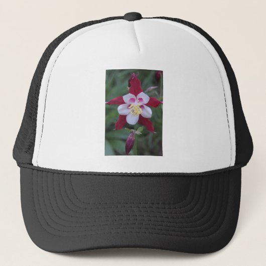 Casquette Columbine (Devant)