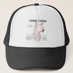 Casquette Conception de l'histoire de la crête chinoise (san