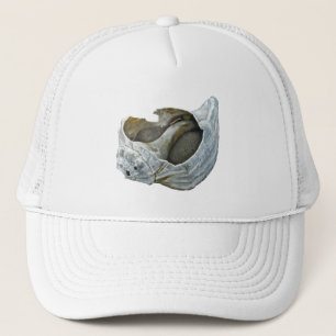 Casquette Coquillage - Personnaliser Choisissez votre couleu