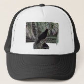 Casquette Corneille sur lanterne (Devant)