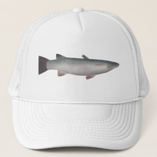 Casquette Corsula