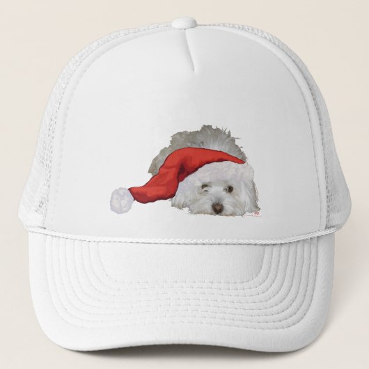 Casquette Coton de Tulear - En attente (Devant)