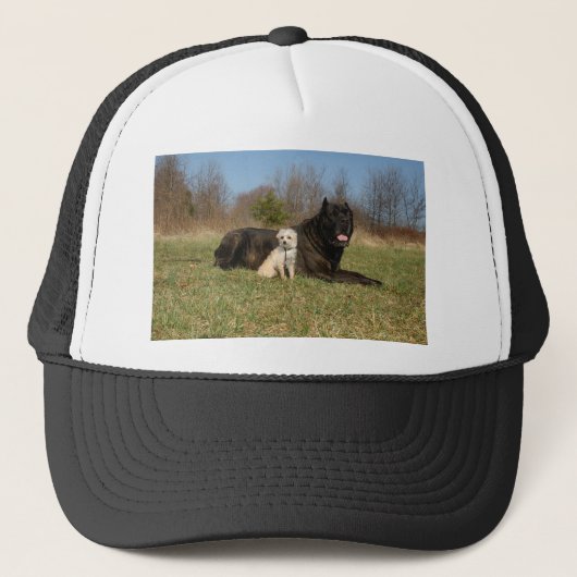 Casquette Couple de chien mignon (Devant)