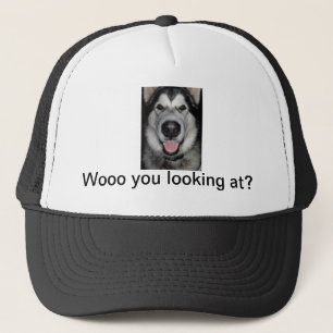 Casquette Courtisez-vous regardant. Malamute d'Alaska