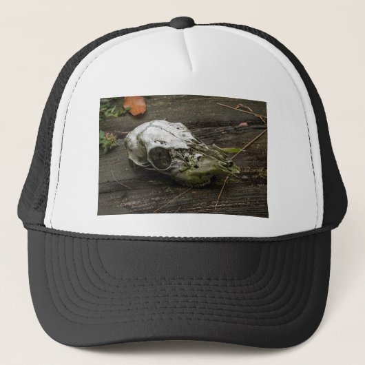 Casquette Crâne de cerf blanc (Devant)