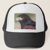 Casquette Crayons de couleur Harris Hawk (Devant)