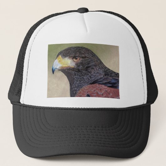 Casquette Crayons de couleur Harris Hawk (Devant)