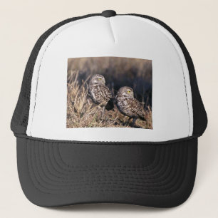 Casquette Creuser le hibou
