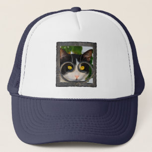 Casquette Curieux Yeux de chats avec Spectacles Cadre photo
