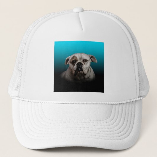 Casquette Cute Boxer Dog w Blue Black Gradient arrière - pla (Devant)