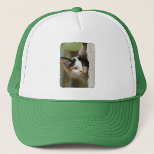 Casquette Cute Curieux Chat Kitten Prying Eyes Portrait Phot