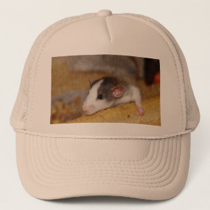 Casquette Cute rat