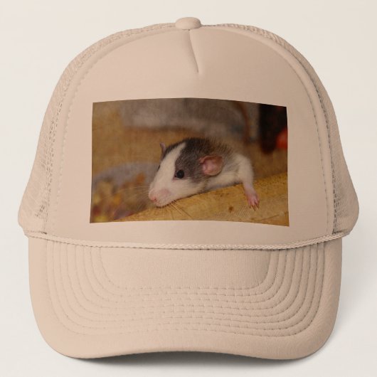 Casquette Cute rat (Devant)