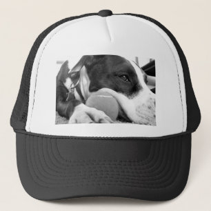 Casquette cute sad looking pitbull dog black white with ball