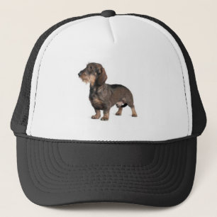 Casquette Dachshund