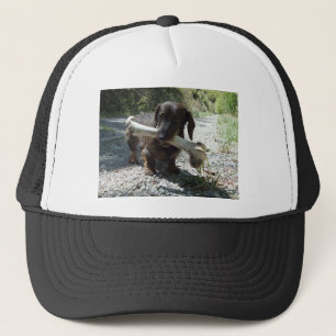 Casquette Dachshund
