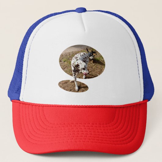 Casquette Dalmatien Brown, (Devant)