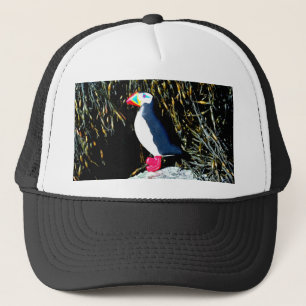 Casquette d'amants de macareux