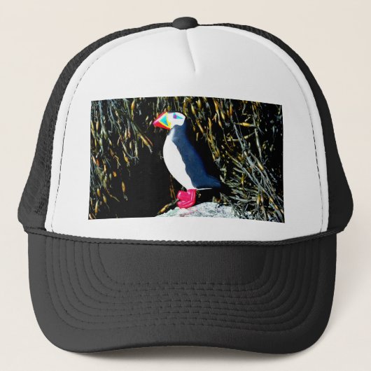 Casquette d'amants de macareux (Devant)