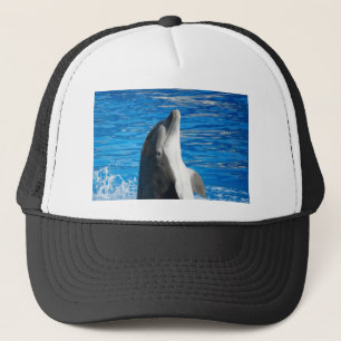 Casquette Dauphin Mignon Plage Paix Amour Fête Destinée