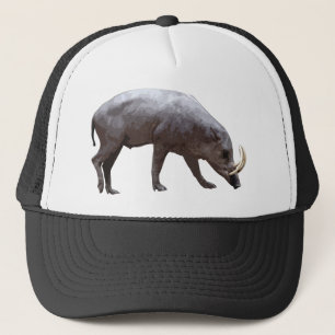 Casquette de Babirusa