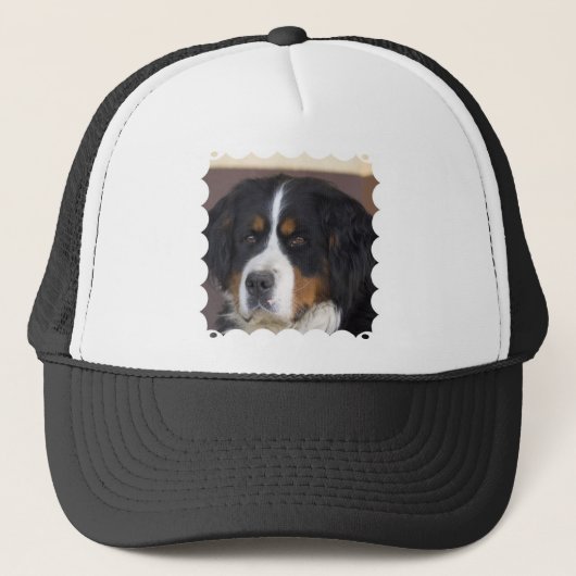 Casquette de baseball de Berner Sennenhund (Devant)