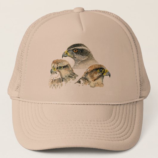 Casquette de baseball de Falconry (Devant)