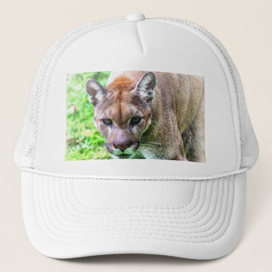 CASQUETTE DE BASEBALL FLORIDA PANTHER (Devant)
