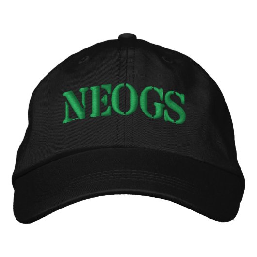 CASQUETTE DE BASEBALL NEOGS (Devant)