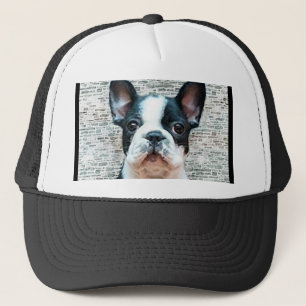Casquette de bouledogue français
