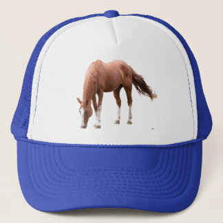 Casquette de camionneur de cheval d'oseille