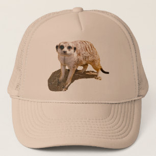 Casquette de camionneur d'image de Meerkat