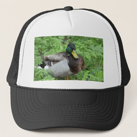 Casquette de canard de Mallard (Devant)
