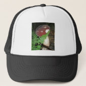 Casquette de champignons de velours (Devant)