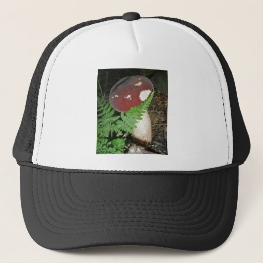 Casquette de champignons de velours (Devant)