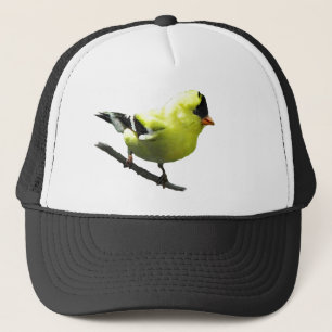 Casquette de chardonneret