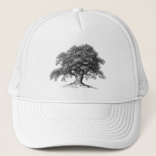 Casquette de chêne