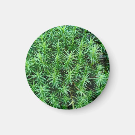 Casquette de cheveux Juniper Magnet (Devant)