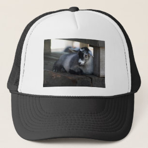 Casquette de chèvre