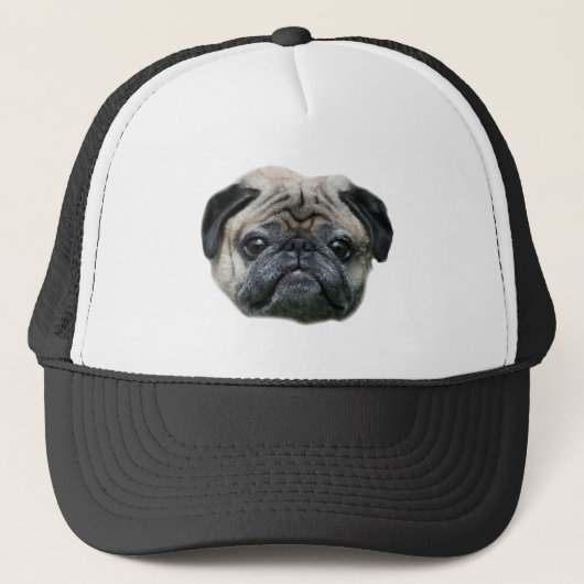 Casquette de chien de carlin (Devant)